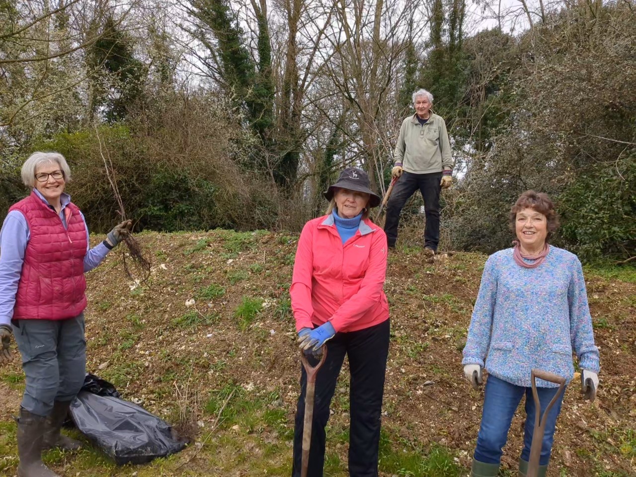 Hedge planting close up 3 jpg