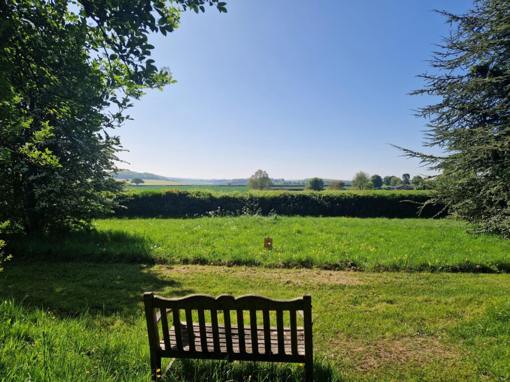 Bencj overlooking field