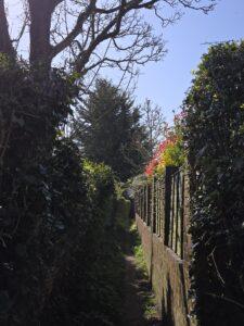 Cemetery path